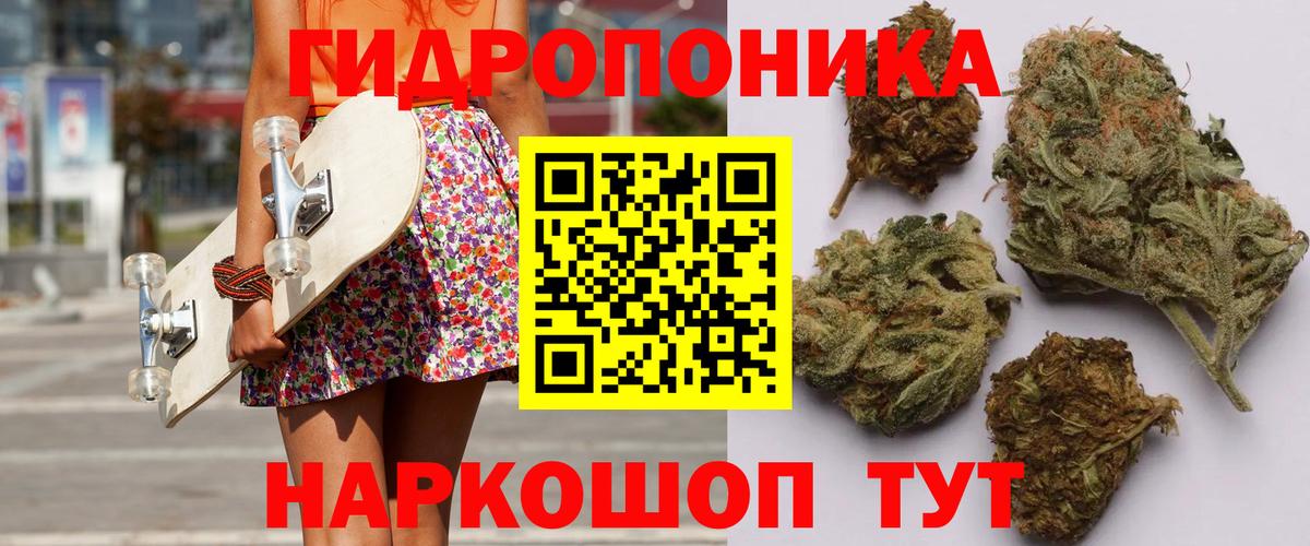 Бошки Шишки тримм Кострома